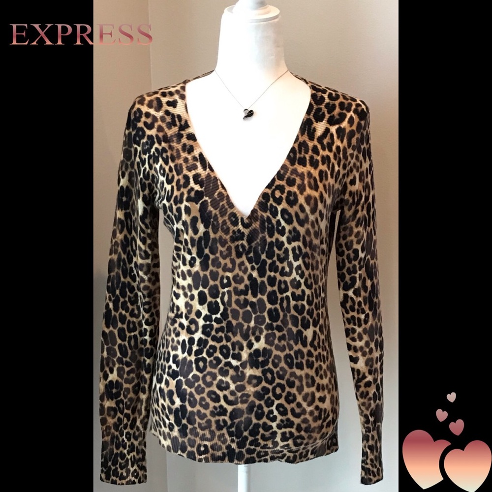 Leopard Sweater from Express Sz M